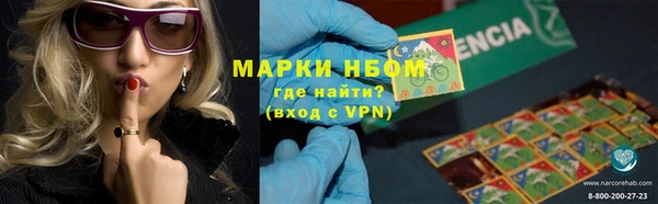 СК Верхний Тагил