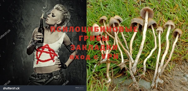 синтетический гашиш Волоколамск
